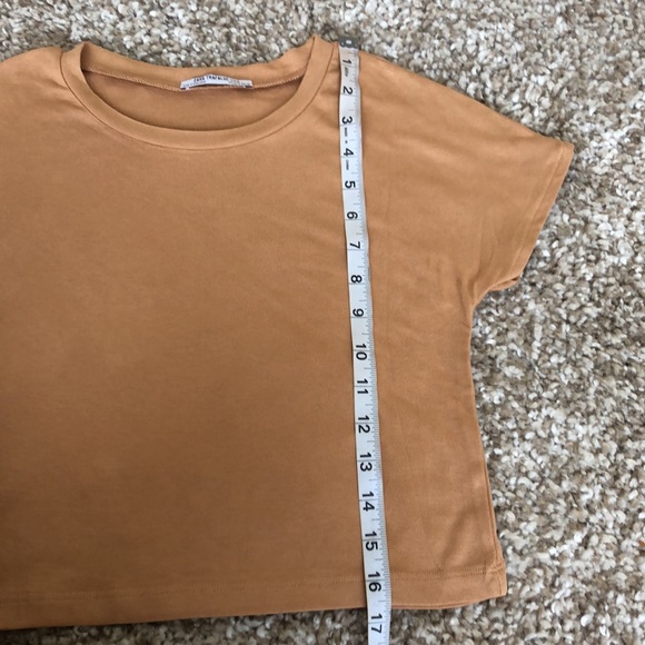 Zara Beige Crop T-Shirt Short Sleeve Top Sz S - Picture 4 of 6